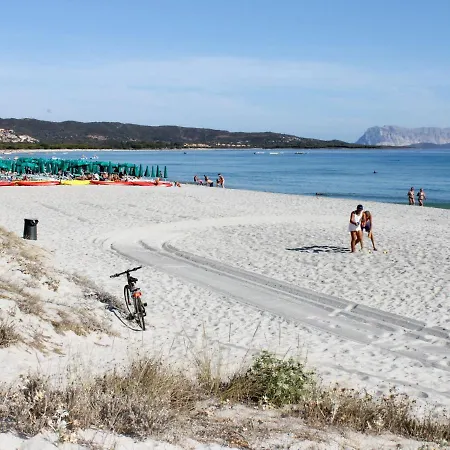 Apartment Friscu By Interhome *