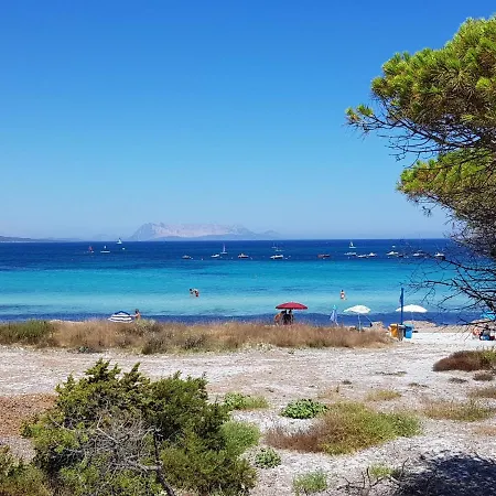 Lägenhet Friscu By Interhome Budoni